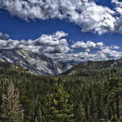 1920 x 1080 HD Wallpapers 307